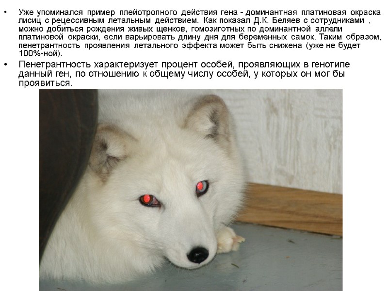 Уже упоминался пример плейотропного действия гена - доминантная платиновая окраска лисиц с рецессивным летальным